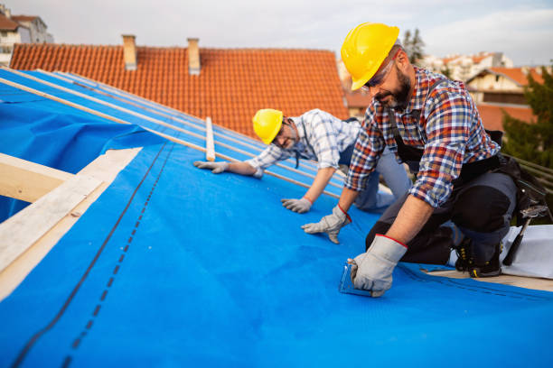 Best Storm Damage Roof Repair  in Clarion, IA